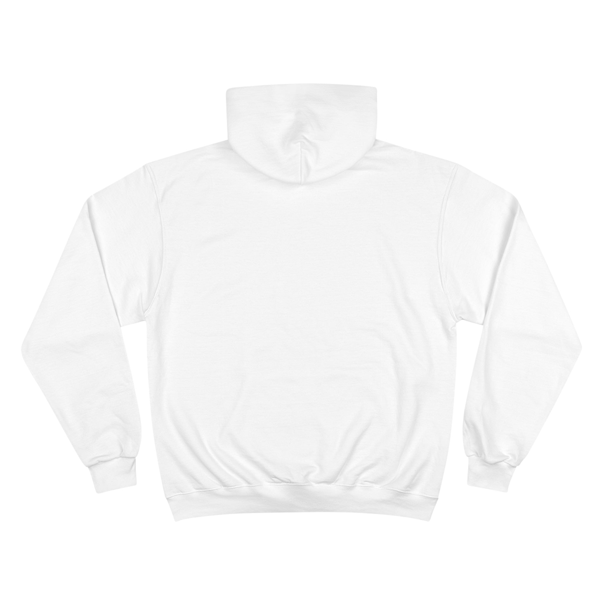 Blank champion online hoodie